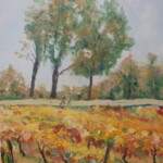 Vignes en automne